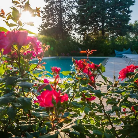 Charming Trullo With Private Pool And - Trullo Amarcord Villa *