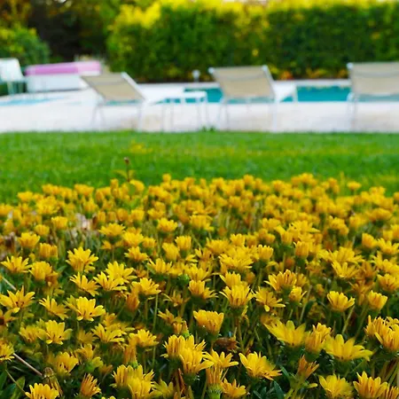 Villa Charming Trullo With Private Pool And - Trullo Amarcord *