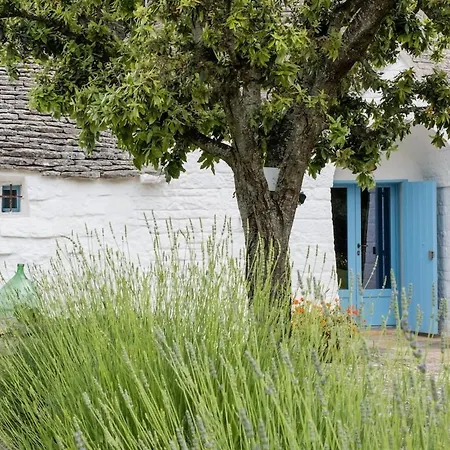 Charming Trullo With Private Pool And - Trullo Amarcord * Selva Di Fasano